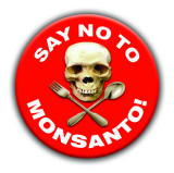 Say No 2 Monsanto Button