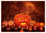Trumps Great Pumpkin Patch