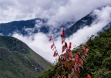 Clouds in Valley along Equator