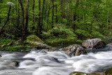 Great Smoky Mountains National Park