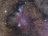 Colourful stardust