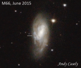 SN2016cok (ASASSN-16fq) in M66, 30th May
