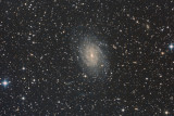 Pavo Galaxy