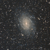 Pavo Galaxy - 100%