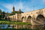 Bridge and domes, Salamanca