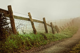 Fences in the mist, Eggardon Hill