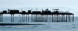 Teignmouth pier, Devon (1544)