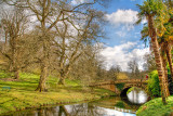 Bridge and trees, Minterne Gardens, Dorset (3400)