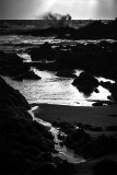 La cote sauvage