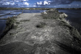 Marais salant