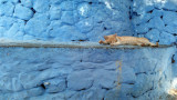 Chefchaouen
