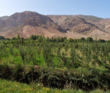 Dans la valle des Ait Bouguemez