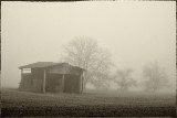 164677155.YFDXZBV7.Blandy_06pb.jpg