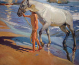 El bao del caballo