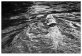 black_and_white Suramérica