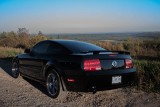 StableM8 roadside closeup.jpg