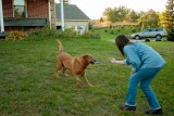 Lisa and Rusty at play.jpg
