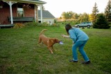 Lisa and Rusty at play 2.jpg