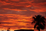 Molten