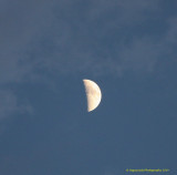 Peek a moon