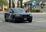 NHP slick top Dodge Charger