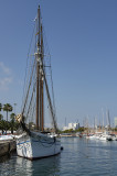 Barceloneta marina