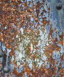 Color on the Steel Bridge