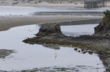 Heron reflections