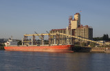 Early evening, Willamette River