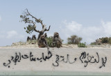 The baboons of Asir -- on the fence
