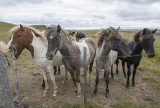Group portrait