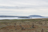 Þingvallavatn