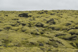 Velvety lava field