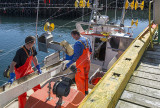 Grindavik fishermen at work