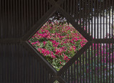 Al Yamamah Garden