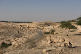 Al Sabaa Garden