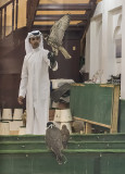 Falcon Souq
