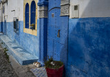 The Kasbah, two cats revisited
