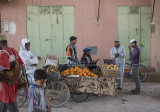 Rissani, produce gathering