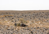 Sahara Desert, desolation