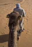 Sahara Desert, the preferable view
