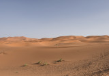 Sahara Desert, on the way to the sand dune