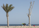 Family picnic at Mesaieed