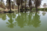 One more reflection...