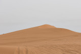Trip to Riyadh's Red Sand Dunes
