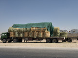 Camel feed?