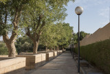 Al Gatha Garden