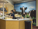 Tillamook Cheese (4)