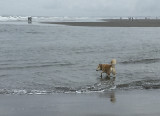 Sahraa embraces the ocean