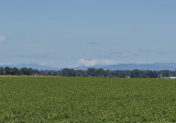 Three mountains: Mount Adams